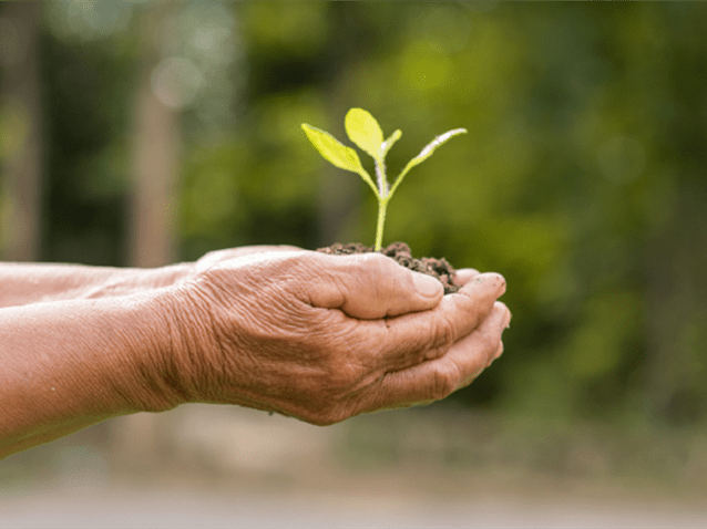 Trench Rossi Watanabe adere à iniciativa "Compromisso com o Clima"