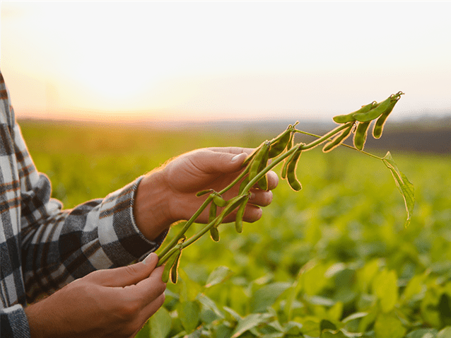 TJ/MT anula cobrança de royalties por patentes já vencidas