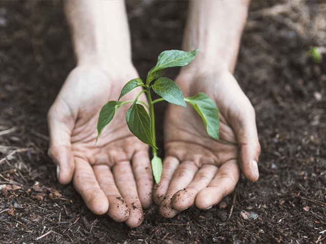 Advogado alerta fragilidade em novo modelo do mercado de carbono