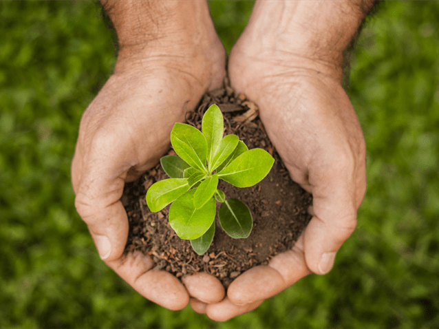 Fachin nomeia membros do Comitê Gestor Nacional de Sustentabilidade