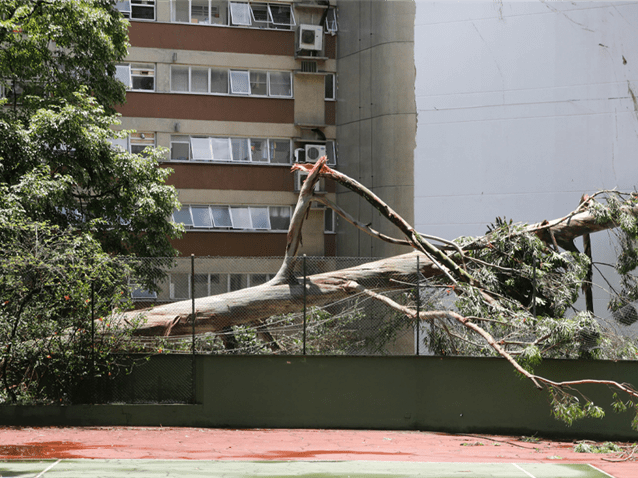 Seguradora deve indenizar condomínio por dano causado por vendaval