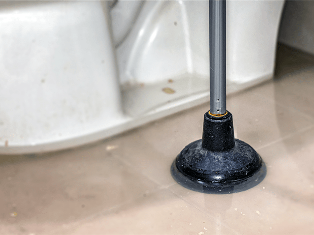  (Imagem: Adobe Stock)