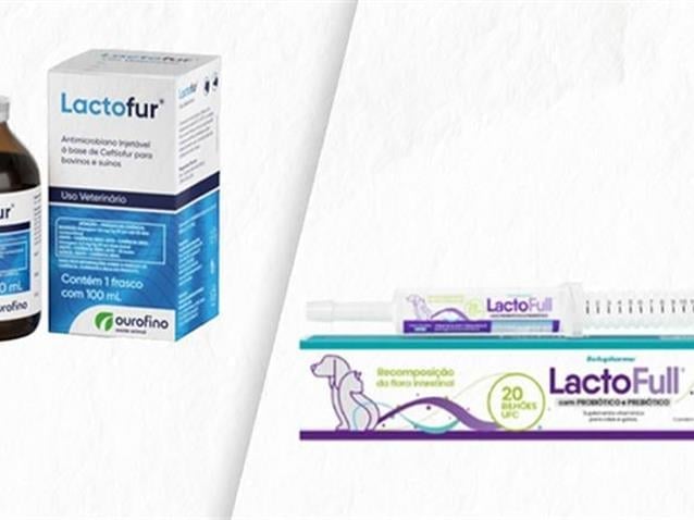  (Imagem: Divulgação/Arte Migalhas)