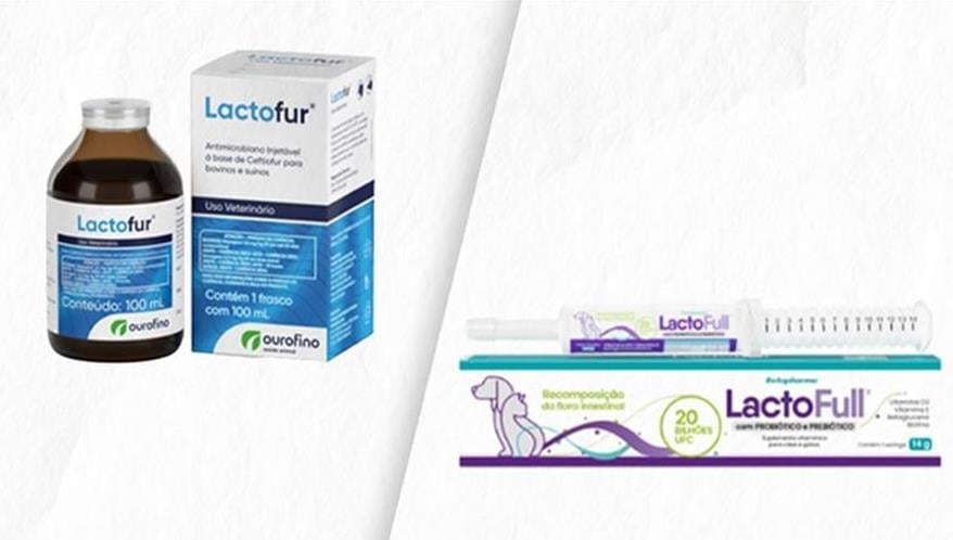  (Imagem: Divulgação/Arte Migalhas)