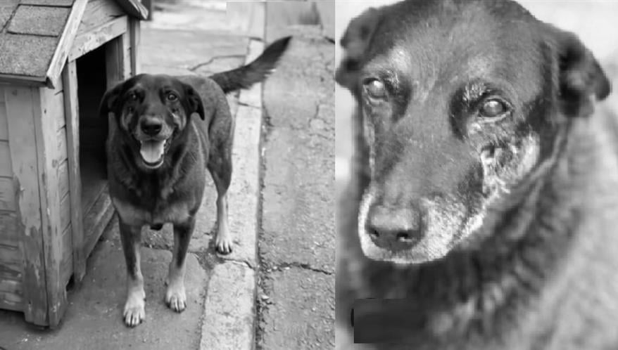  (Imagem: Reprodução)