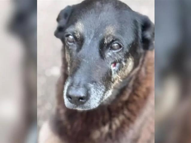  (Imagem: Reprodução)