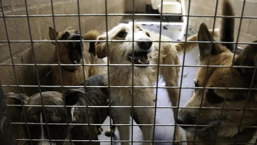  (Imagem: Adobe Stock)