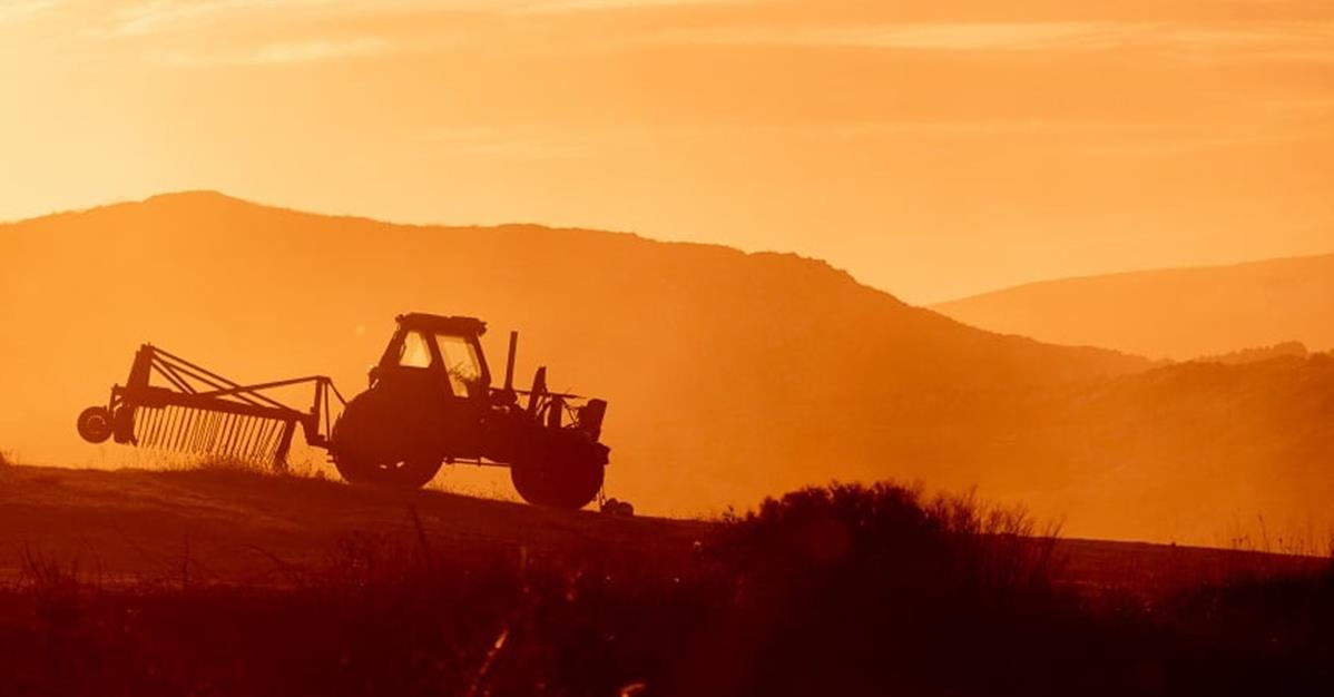 Tj Rural Services TJ/GO: Juiz limita juros aplicado por banco em financiamento rural ...