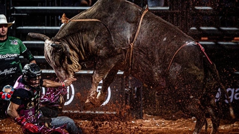  (Imagem: Rafaela Araújo/Folhapress)