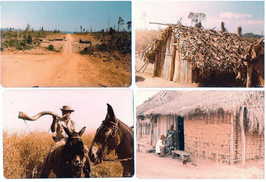  (Imagem: Reprodução/MPT)