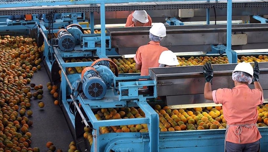  (Imagem: Silva Junior/Folhapress)