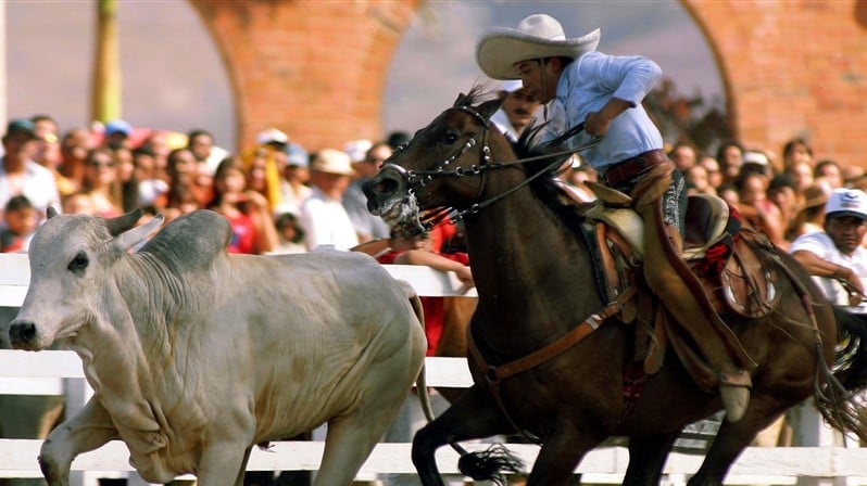  (Imagem: Jarbas Oliveira (P)/Folhapress)