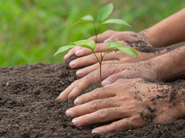 Academia Paulista de Letras inaugura bosque em homenagem a seus patronos