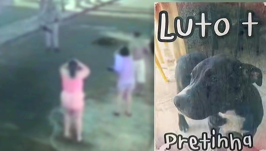  (Imagem: Reprodução)