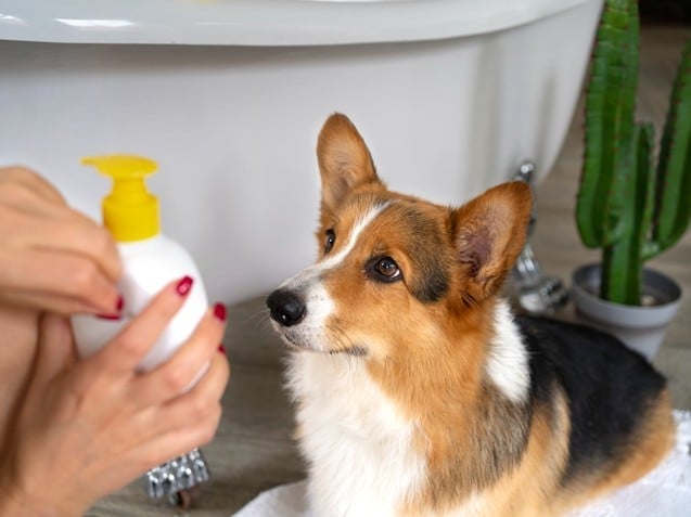 (Imagem: Freepik) (Imagem: Freepik)