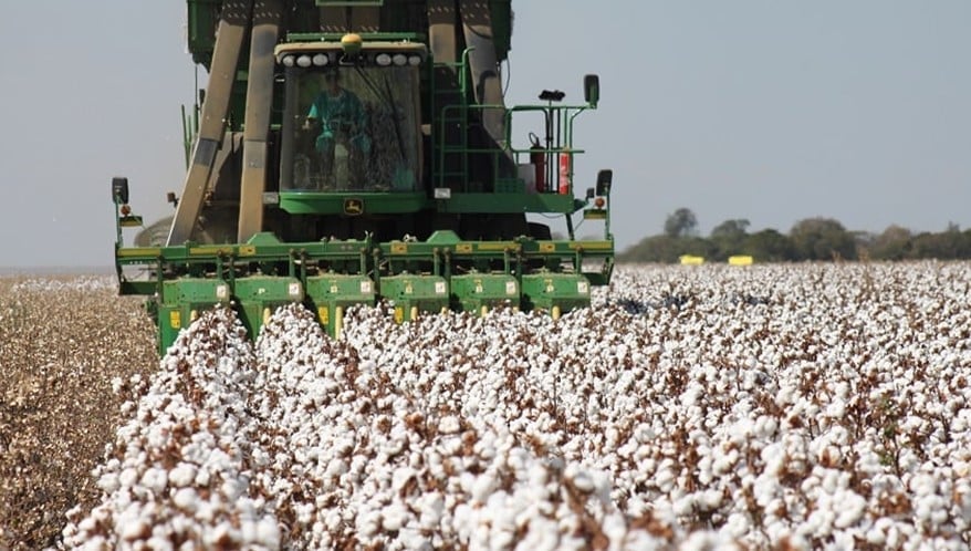  (Imagem: Mauro Zafalon/Folhapress)