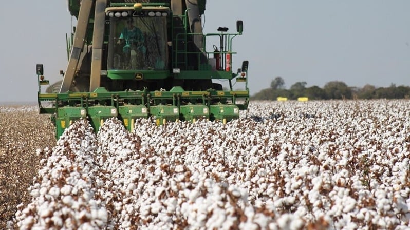  (Imagem: Mauro Zafalon/Folhapress)