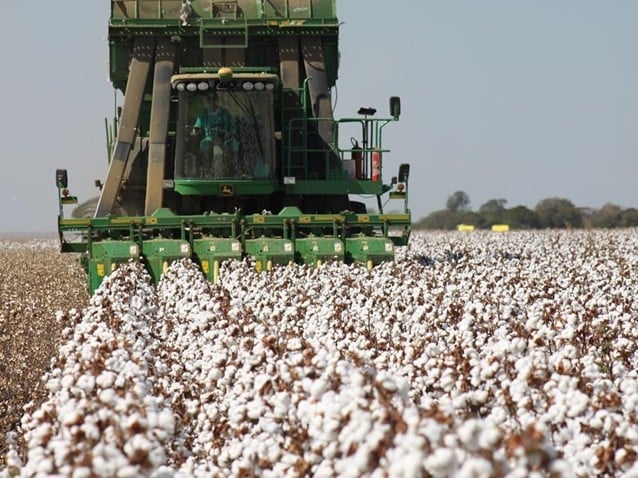 (Imagem: Mauro Zafalon/Folhapress) (Imagem: Mauro Zafalon/Folhapress)