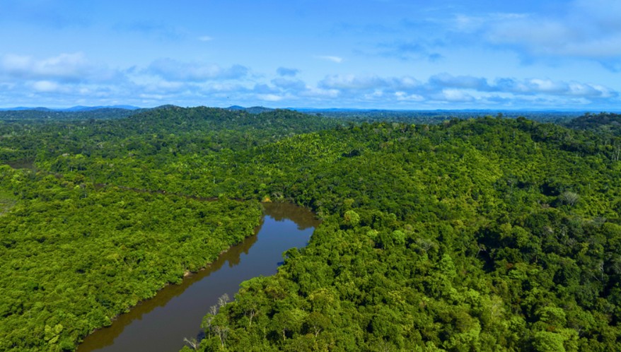  (Imagem: Lalo de Almeida/Folhapress)