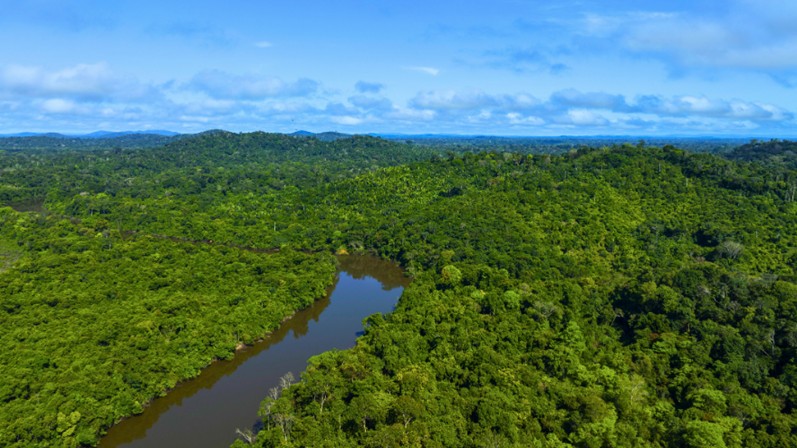  (Imagem: Lalo de Almeida/Folhapress)