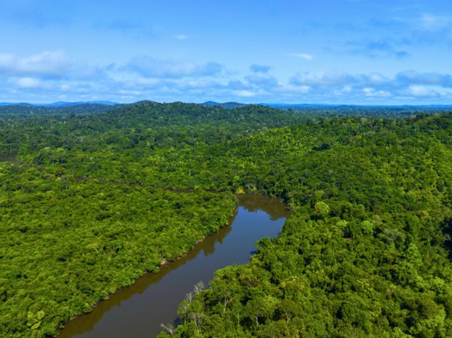  (Imagem: Lalo de Almeida/Folhapress)