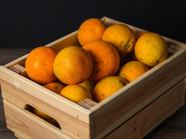 (Imagem: Freepik) (Imagem: Freepik)