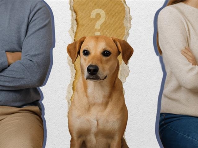  (Imagem: Artes Migalhas)