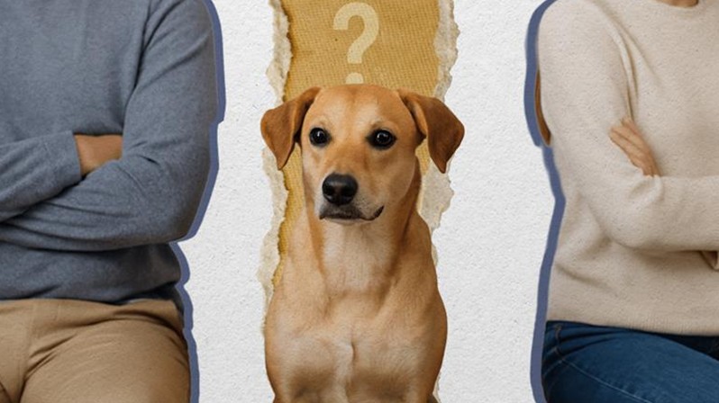  (Imagem: Artes Migalhas)