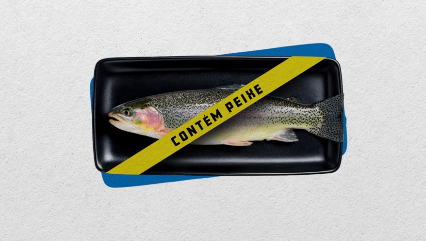  (Imagem: Arte Migalhas)