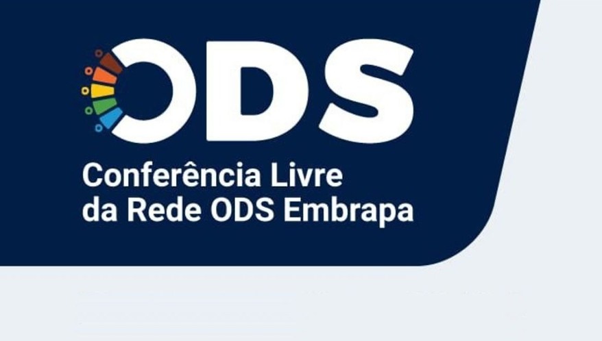  (Imagem: Reprodução)