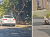  (Imagem: Reprodução)