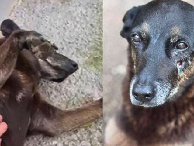  (Imagem: Reprodução/Redes sociais)