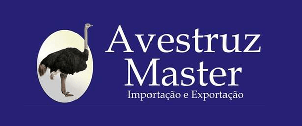  (Imagem: Reprodução)