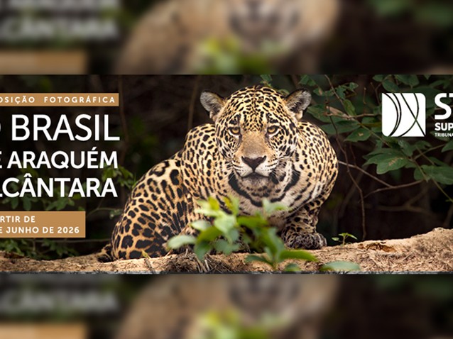 (Imagem: Reprodução/STJ) (Imagem: Reprodução/STJ)