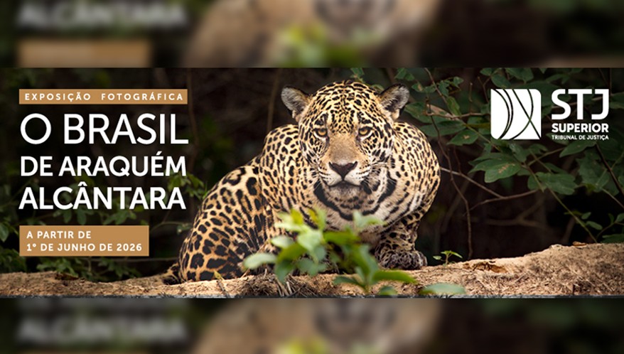  (Imagem: Reprodução/STJ)
