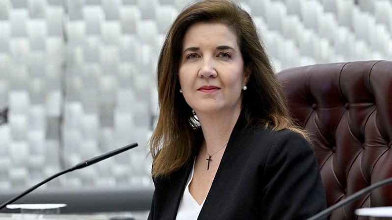 "Vai ser um jogral", diz ministra Daniela sobre 9 sustentações no STJ