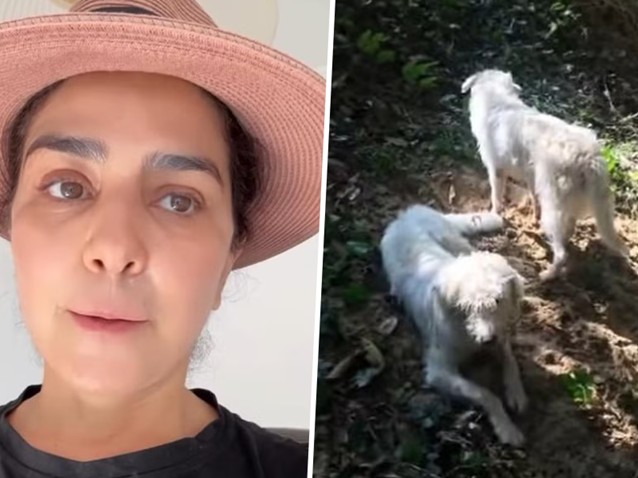 (Imagem: Reprodução/Redes sociais) (Imagem: Reprodução/Redes sociais)