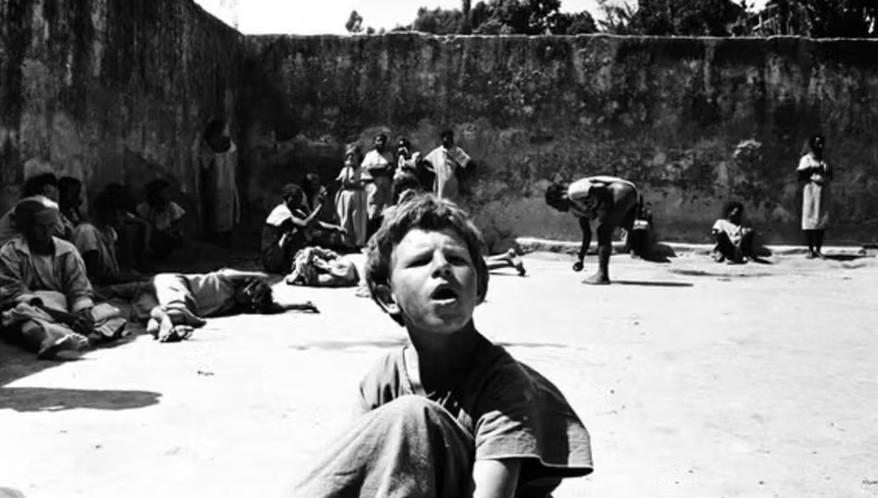  (Imagem: Luiz Alfredo/Testemunha Ocular/Instituto Moreira Sallles)