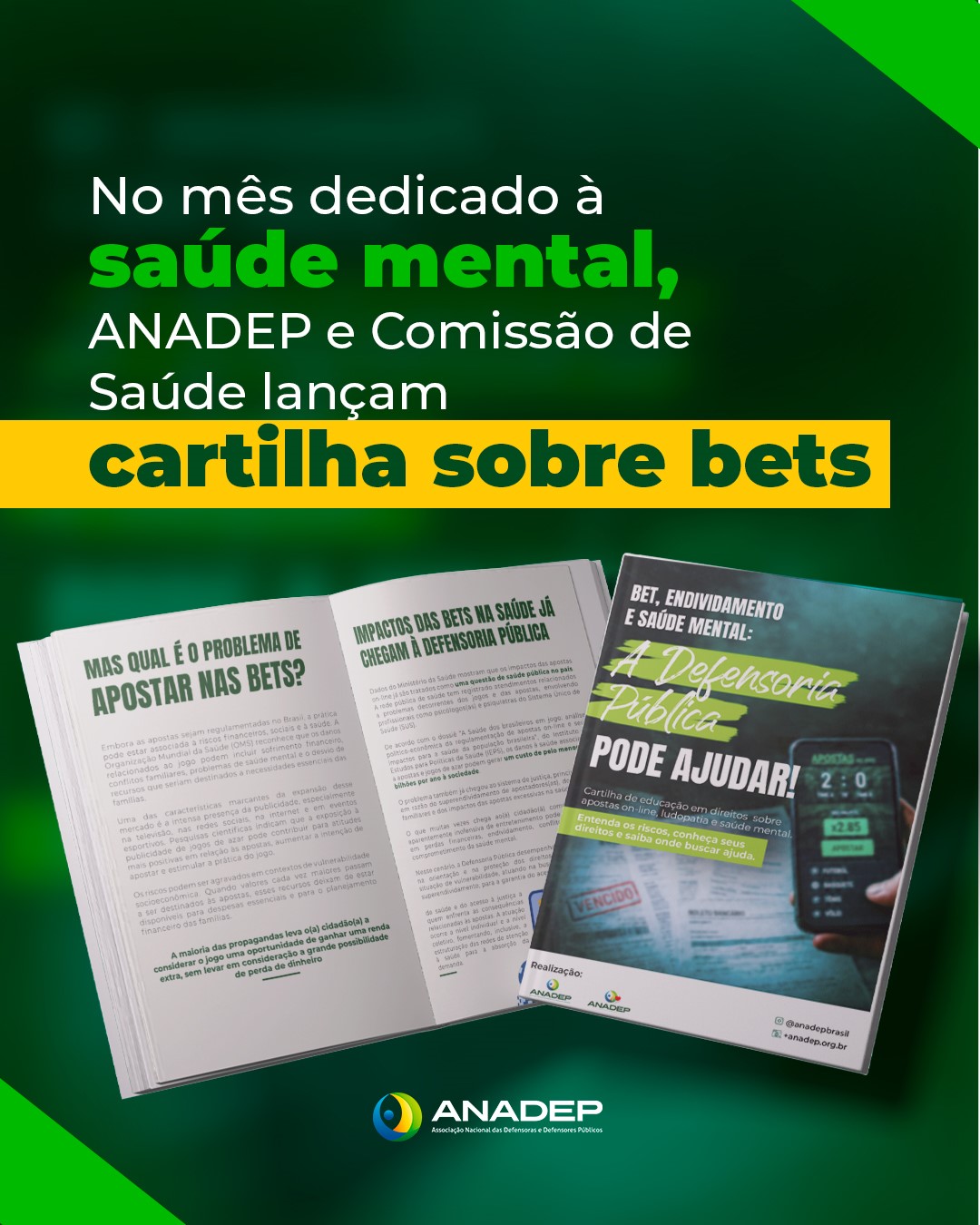  (Imagem: Divulgação/ANADEP)