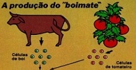 (img)