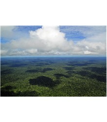 Amazônia