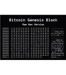 Satoshi Nakamoto