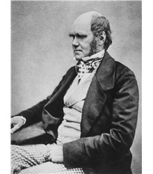 Charles Darwin Charles Darwin