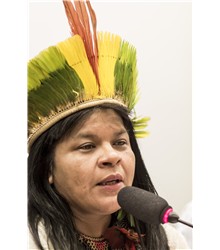 Sônia Guajajara