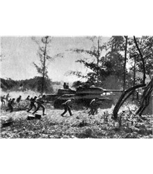 Invasão da Baía dos Porcos