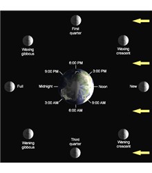 Lua nova
