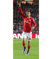 André Almeida