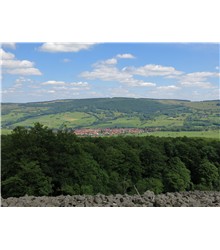 Stirnberg Stirnberg