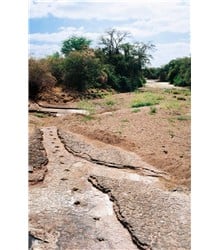 Área de relevante interesse ecológico