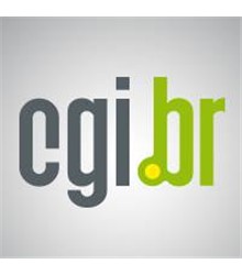Comitê Gestor da Internet no Brasil